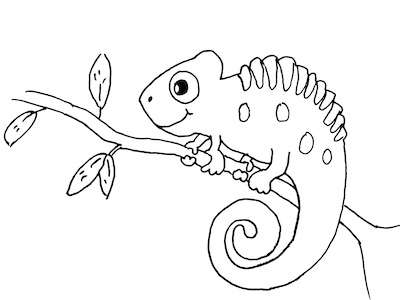 Zeichnung eines Chamäleons